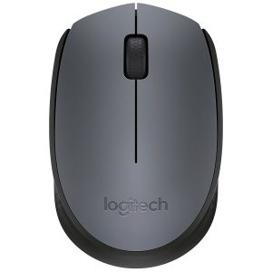 Souris Logitech M170
